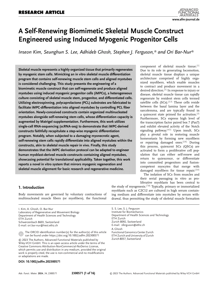 Transgene-free direct conversion of murine fibroblasts into functional  muscle stem cells