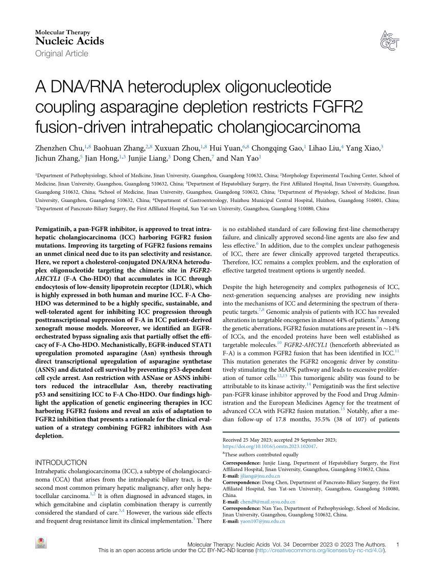 PDF) A cholesterol-conjugated DNA/RNA heteroduplex oligonucleotide coupling  asparagine depletion restricts FGFR2 fusion-driven intrahepatic  cholangiocarcinoma progression