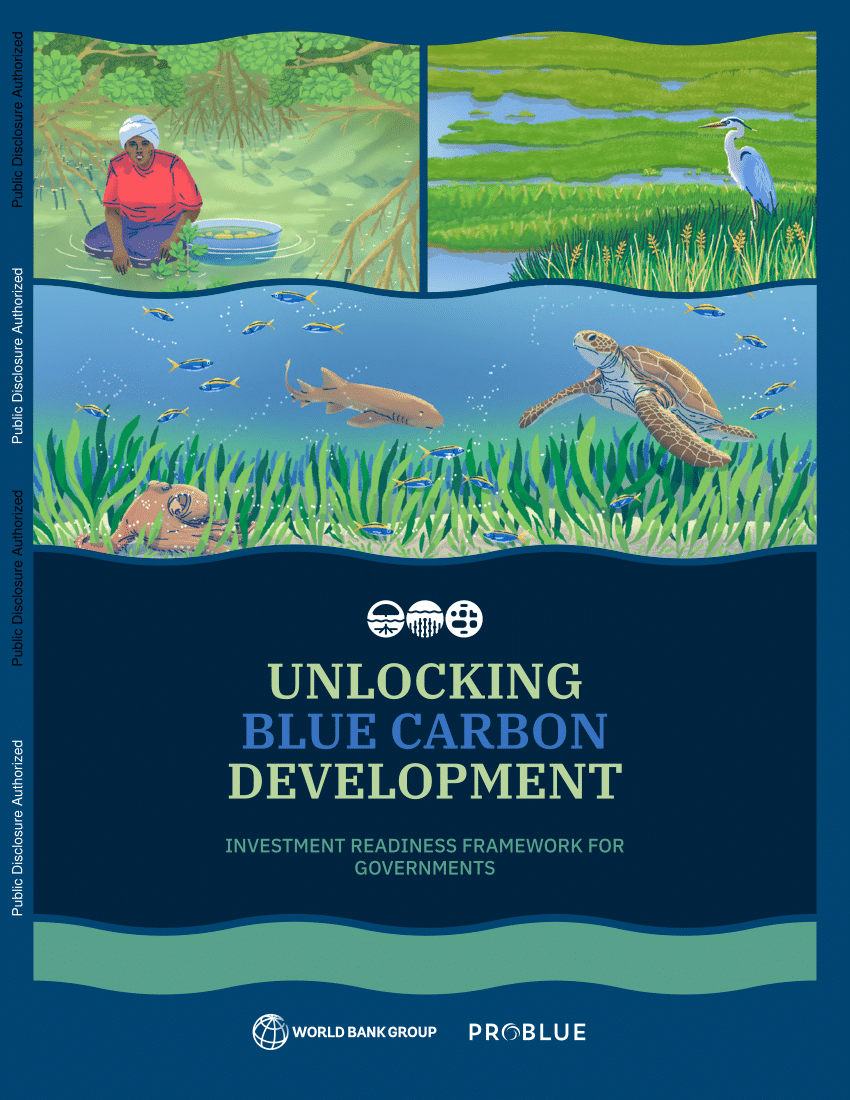 PDF) Unlocking Blue Carbon Development: Investment Readiness Framework for  Governments