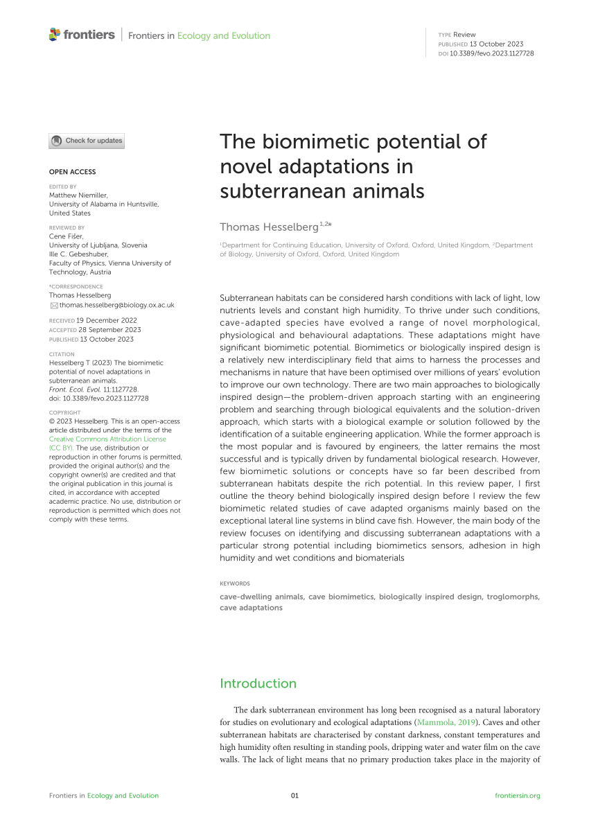 (PDF) The biomimetic potential of novel adaptations in subterranean animals