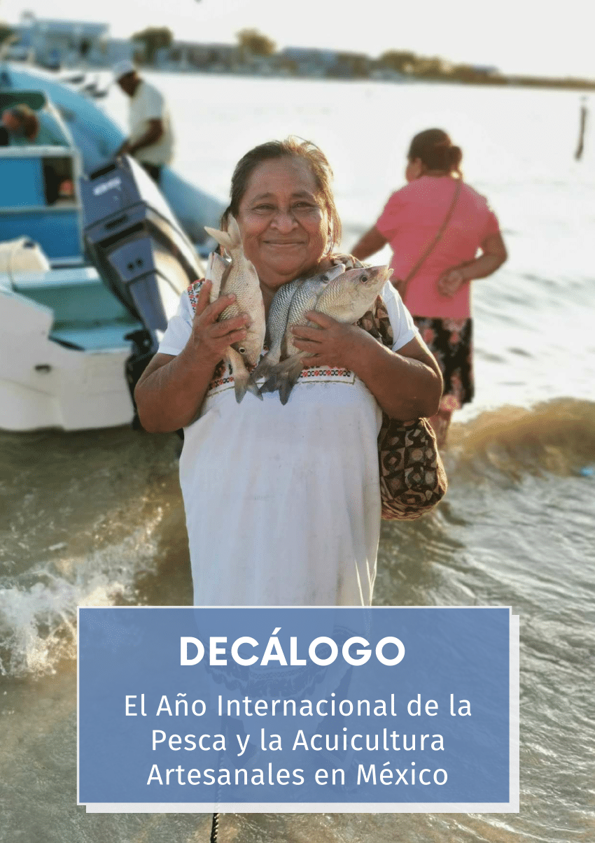 PDF) Decálogo por el Año Internacional de la Pesca y la Acuicultura  Artesanales en México