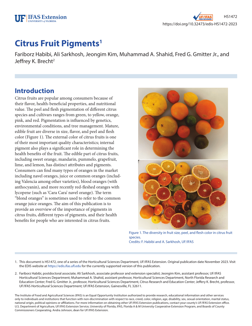 Full article: Blood orange (Citrus sinensis) as a rich source of  nutraceuticals: investigation of bioactive compounds in different parts of  the fruit by HPLC-PDA/MS