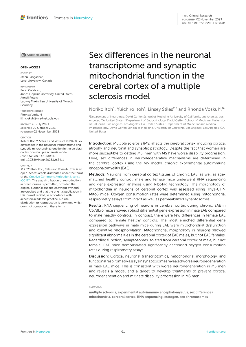Pdf Sex Differences In The Neuronal Transcriptome And Synaptic Mitochondrial Function In The 6176