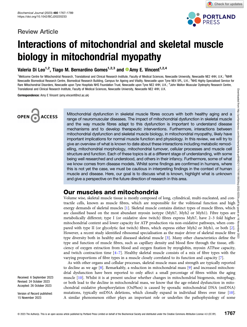 PDF) Interactions of mitochondrial and skeletal muscle biology in 