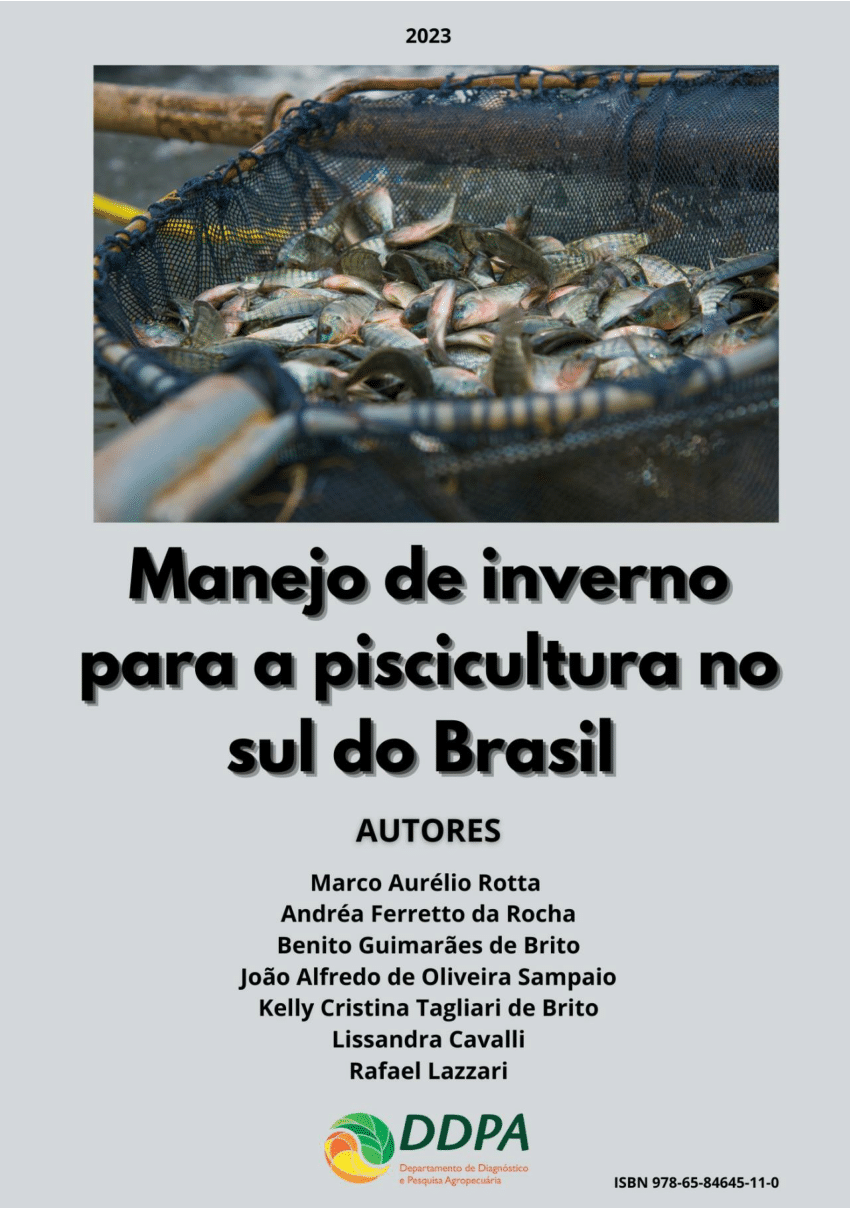 QUEBRA-CABEÇA MAPA REGIÕES DO BRASIL MD - Editora Sobre Tudo