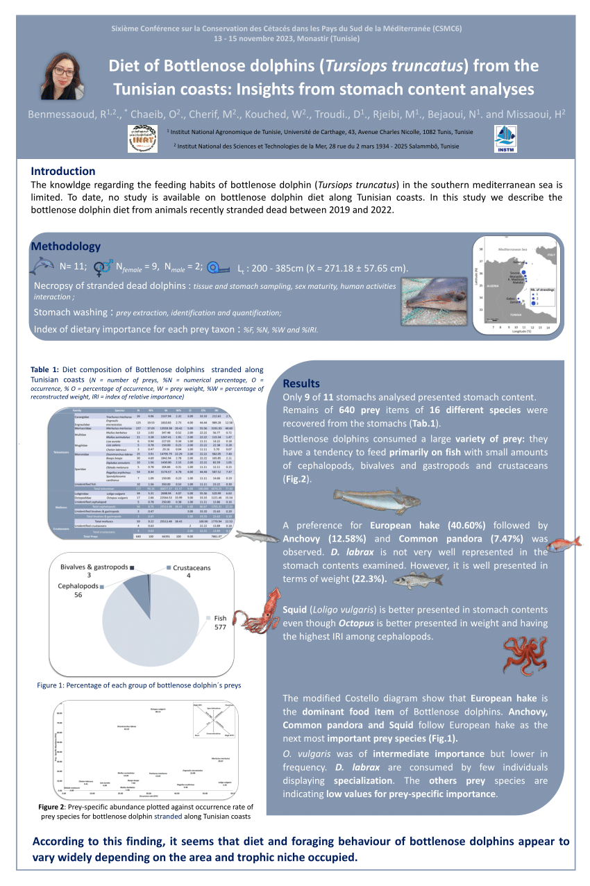 (PDF) Diet of Bottlenose dolphins (Tursiops truncatus) from the