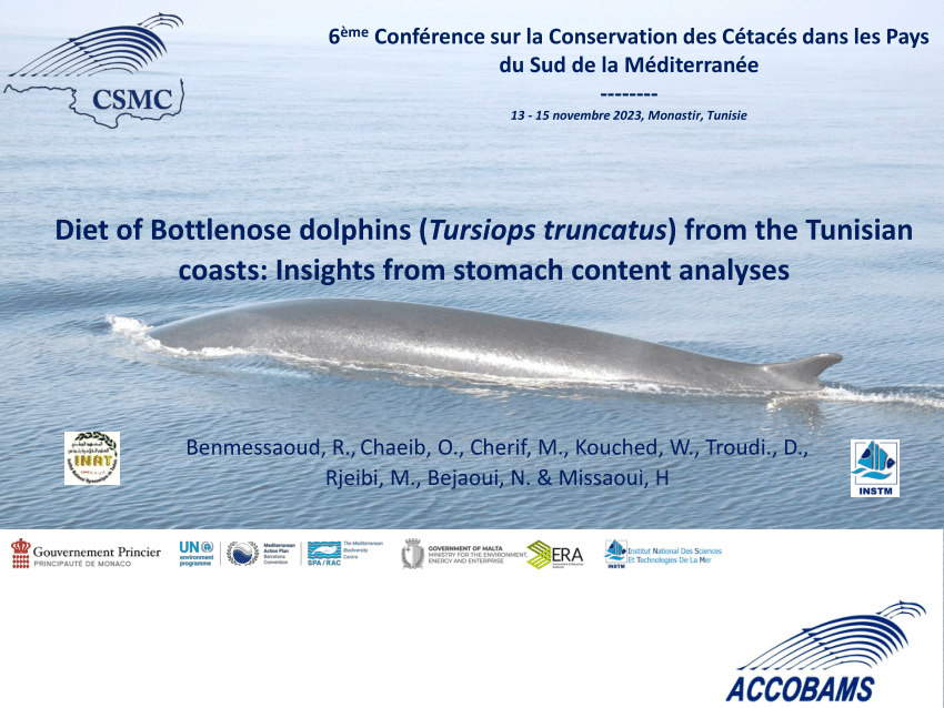 (PDF) Diet of Bottlenose dolphins (Tursiops truncatus) from the