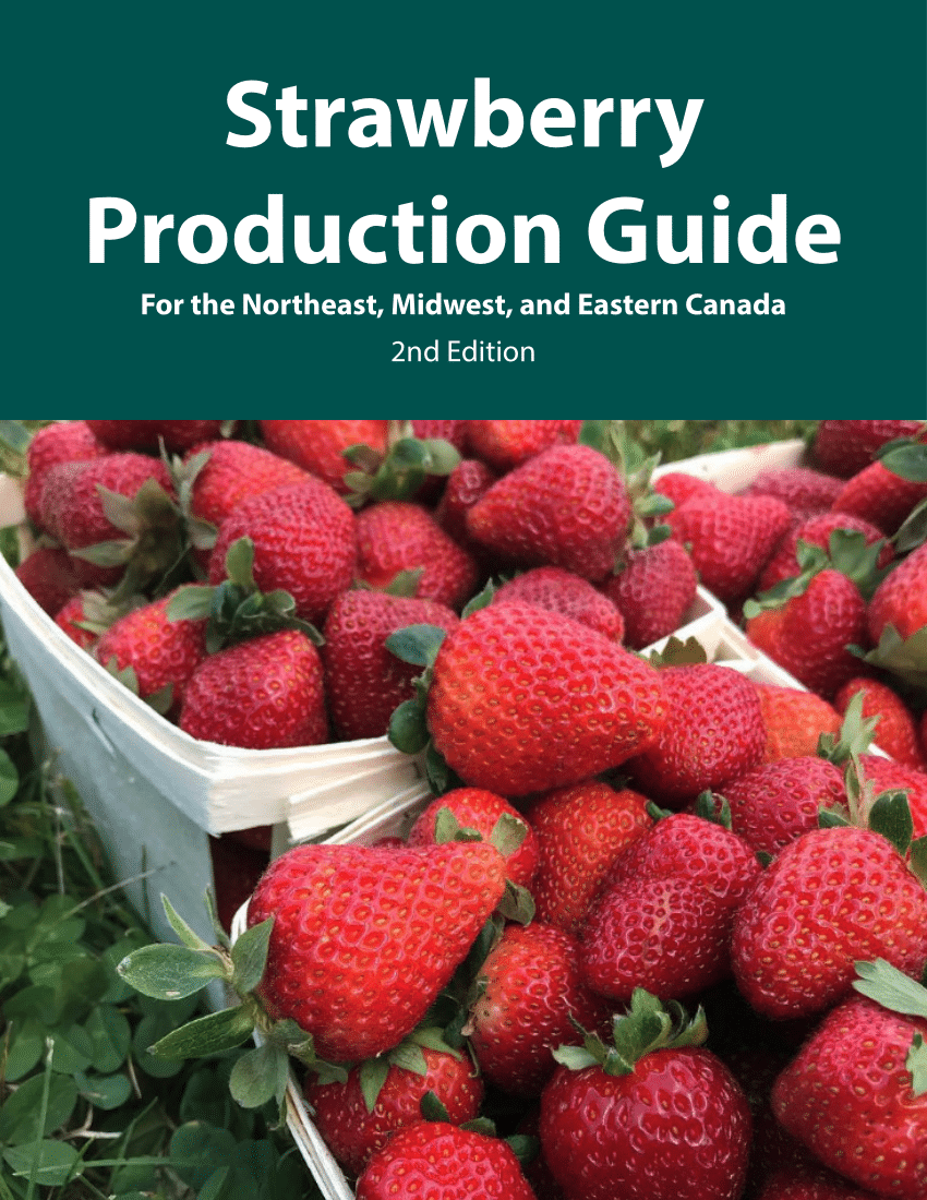 https://i1.rgstatic.net/publication/375992777_Strawberry_Production_Guide_For_the_Northeast_Midwest_and_Eastern_Canada/links/65665097ce88b870311ba712/largepreview.png