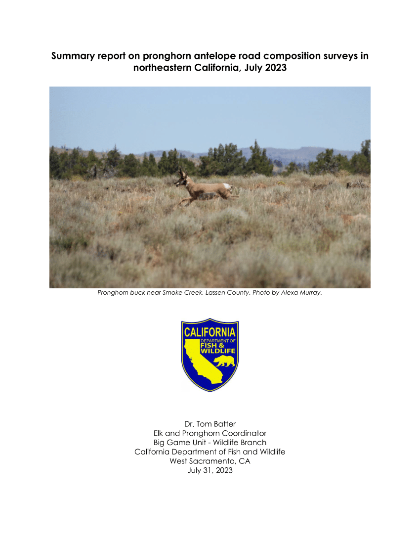 (PDF) Summary report on pronghorn antelope road composition surveys in ...