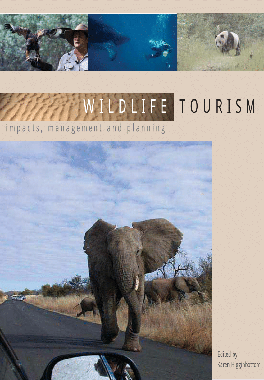 history of wildlife tourism