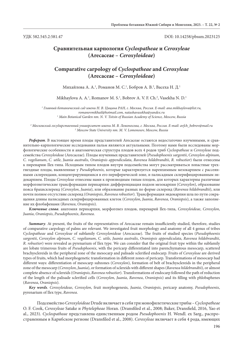 PDF) Comparative Carpology Of Cyclospatheae And Ceroxyleae.