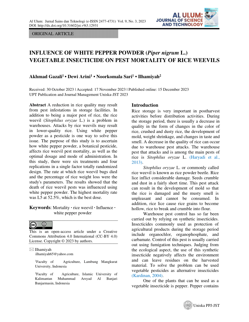 Percentage of weight loss of rice applied white pepper powder on 7 HSA.