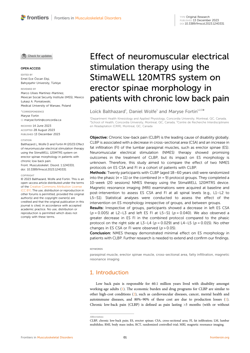 Familiarizing with the Major Upper Back Pain Stimulations