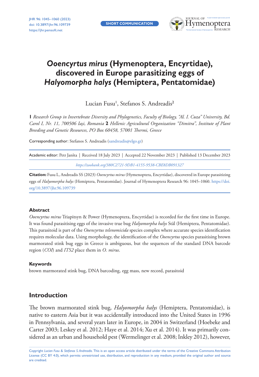 PDF) Ooencyrtus mirus (Hymenoptera, Encyrtidae), discovered in 