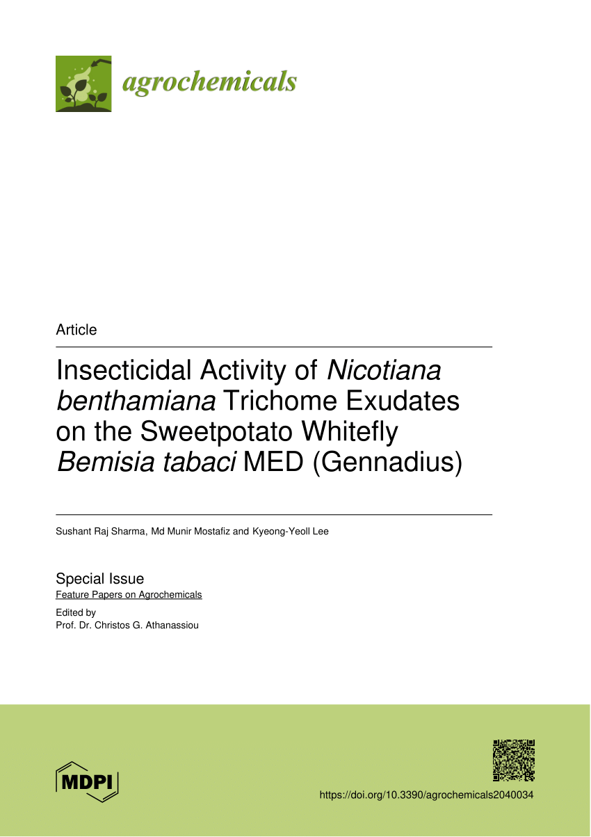 PDF) Insecticidal Activity of Nicotiana benthamiana Trichome Exudates on  the Sweetpotato Whitefly Bemisia tabaci MED (Gennadius)