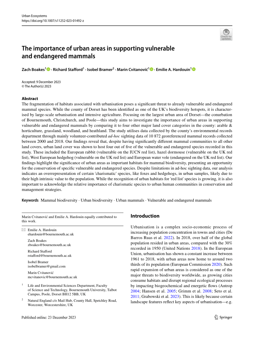 (PDF) The importance of urban areas in supporting vulnerable and