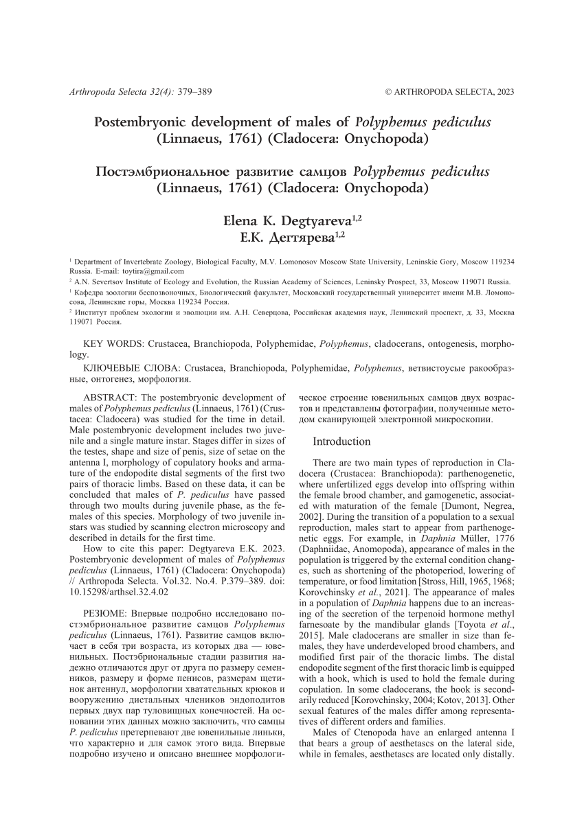 PDF) Postembryonic development of males of Polyphemus pediculus (Linnaeus,  1761) (Cladocera: Onychopoda)