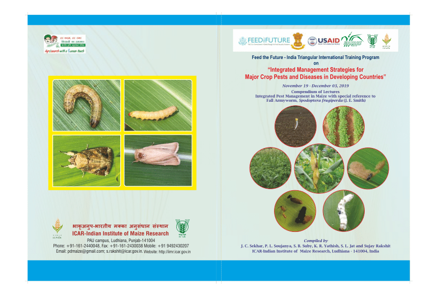 https://i1.rgstatic.net/publication/376808261_Integrated_Management_Strategies_for_Major_Crop_Pests_and_Diseases_in_Developing_Countries_Compendium_of_Lectures_Integrated_Pest_Management_in_Maize_with_special_reference_to/links/6589acb63c472d2e8e8c54ad/largepreview.png
