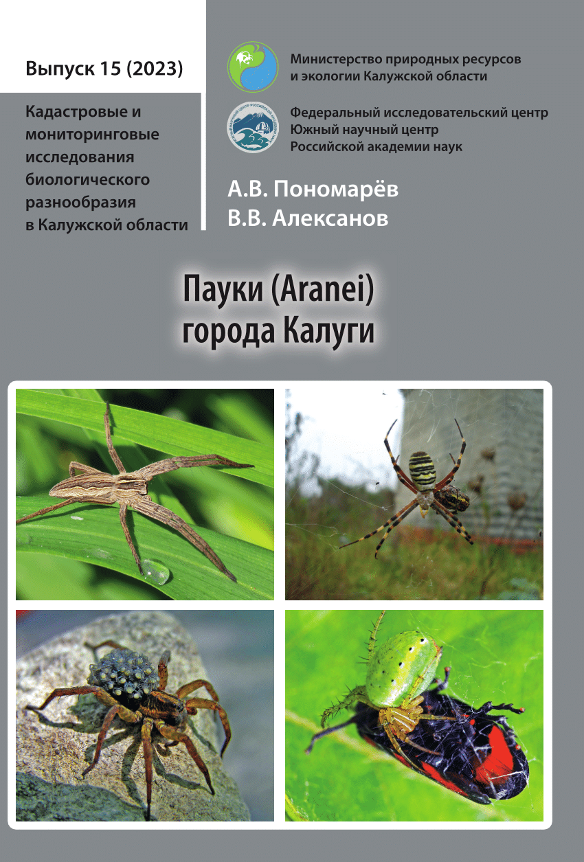 PDF) Spiders (Aranei) in Kaluga city [in Russian]