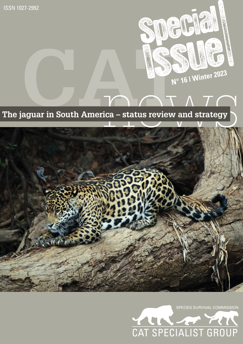 Species Spotlight: Jaguar, Pages