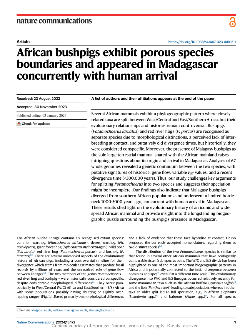 PDF African bushpigs exhibit porous species boundaries and  