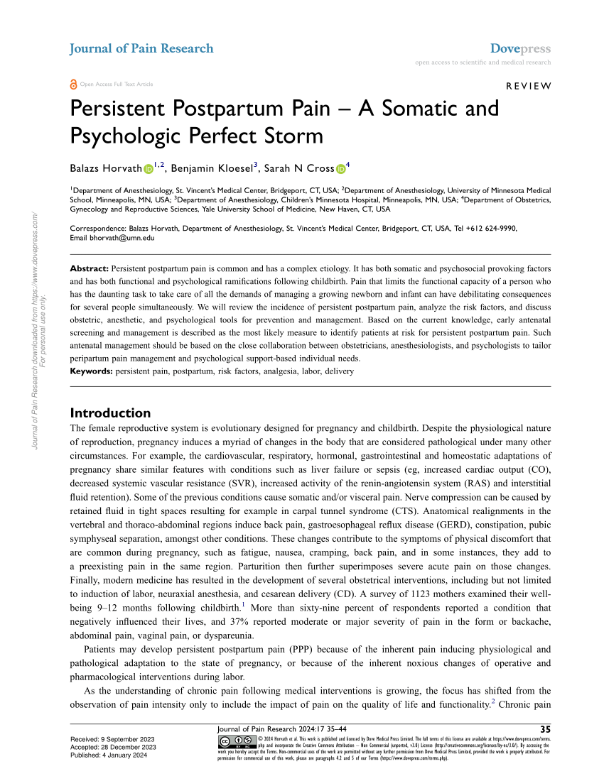 A Biopsychosocial Approach to Persistent Postpartum Pain and