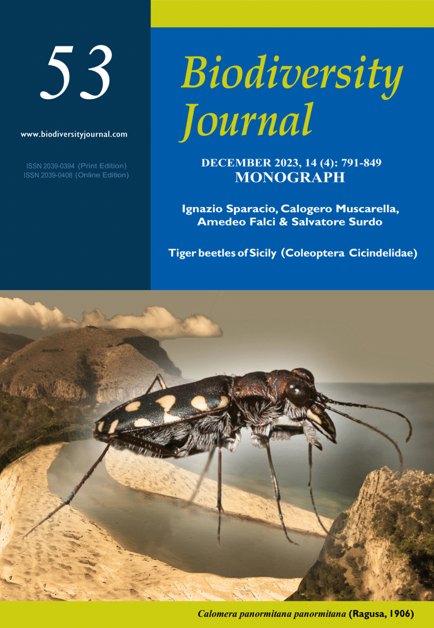 PDF) Tiger beetles of Sicily (Coleoptera Cicindelidae)