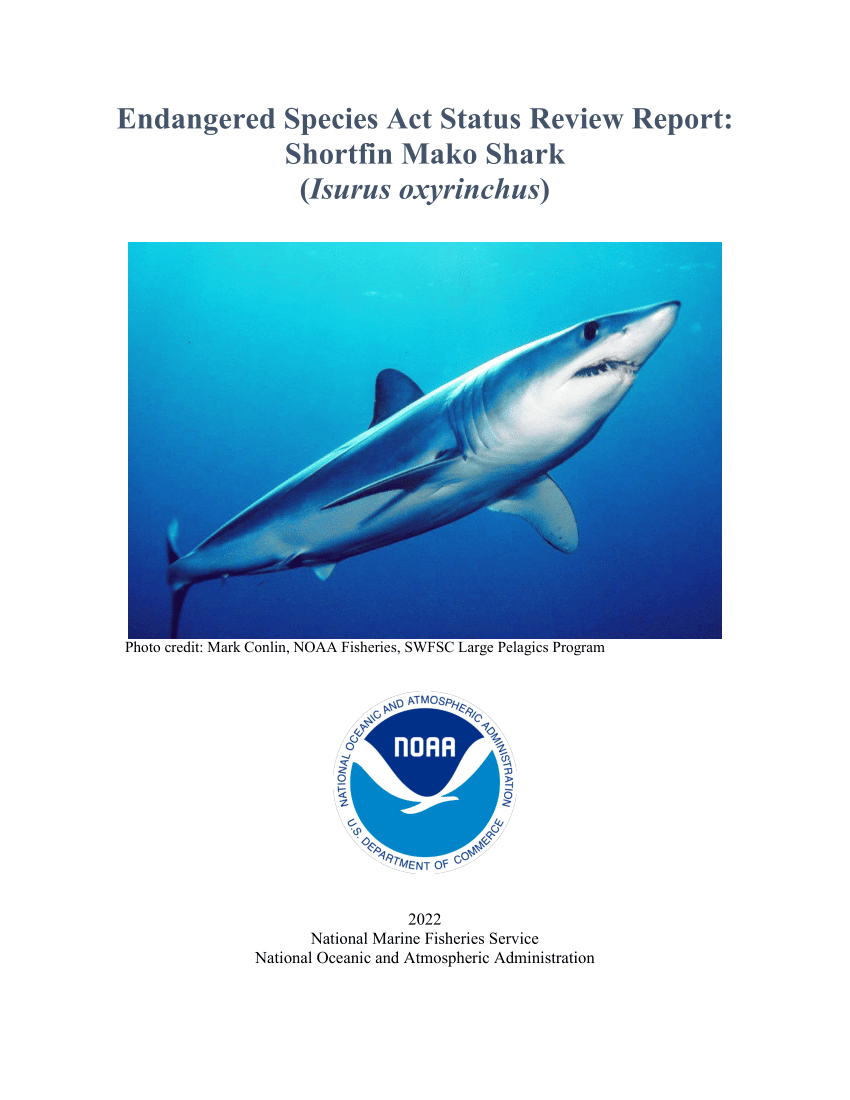 PDF) Endangered Species Act Status Review Report: Shortfin Mako