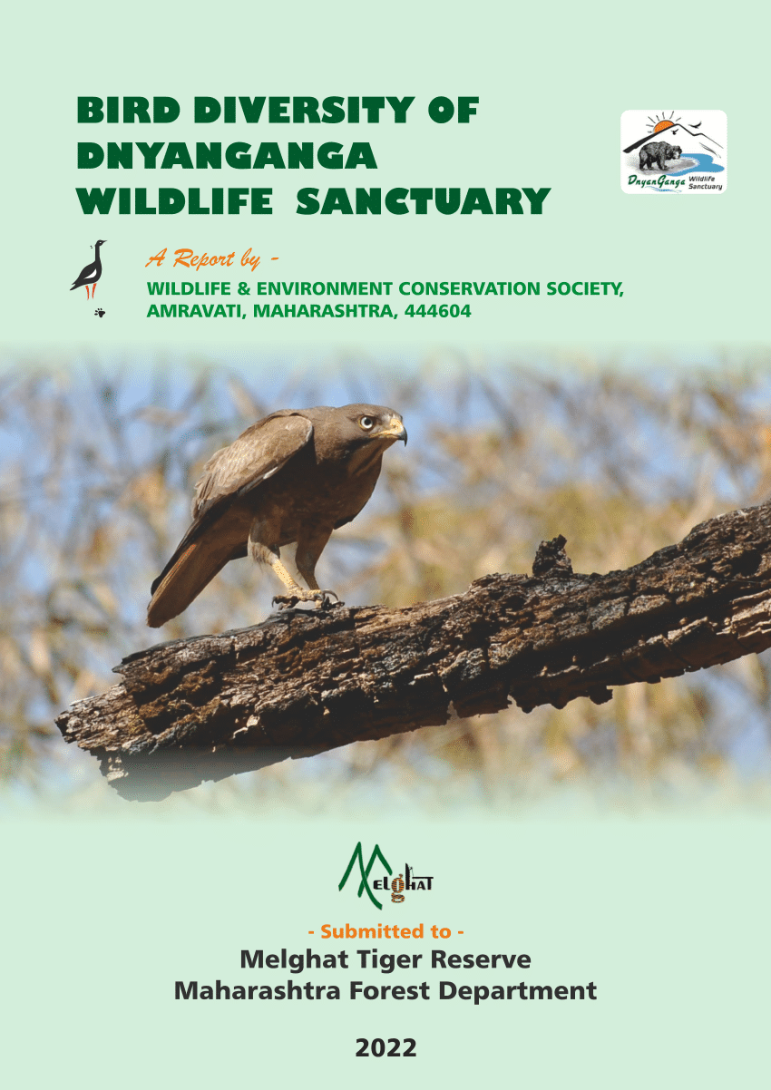 bird diversity research paper in india