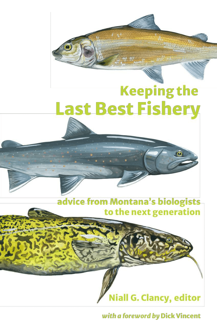 PDF) Keeping the Last Best Fishery: advice from Montana's biologists to the  next generation