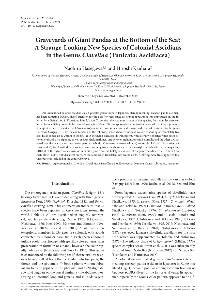 PDF) Graveyards of Giant Pandas at the Bottom of the Sea? A Strange-Looking  New Species of Colonial Ascidians in the Genus Clavelina (Tunicata:  Ascidiacea)