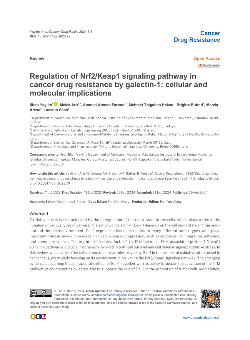 Pdf Regulation Of Nrf Keap Signaling Pathway In Cancer By Galectin Cellular And Molecular