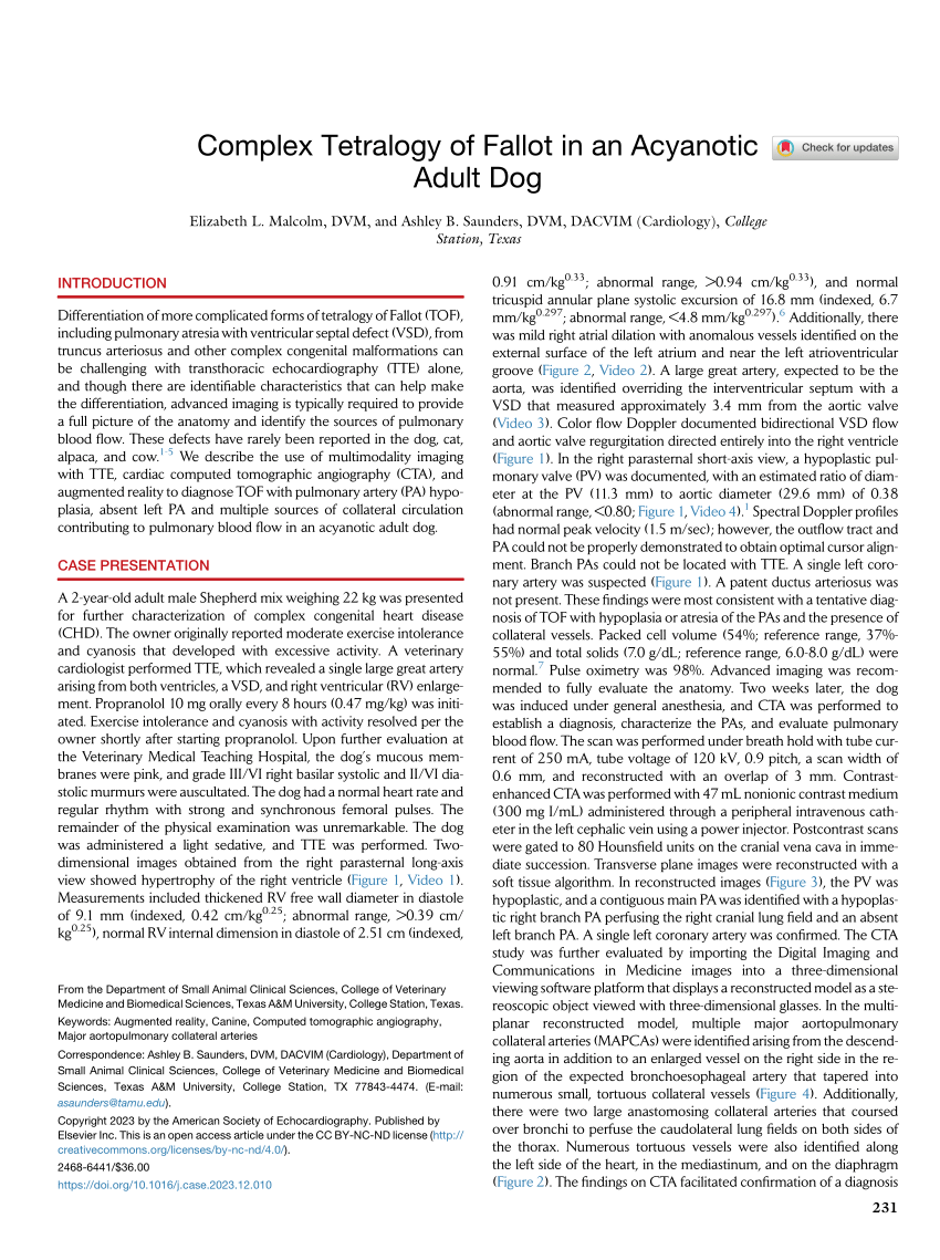 (PDF) Complex Tetralogy of Fallot in an Acyanotic Adult Dog