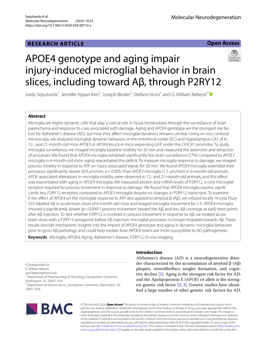 PDF) APOE4 genotype and aging impair injury-induced microglial 