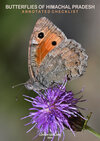 Preview image for Butterflies of Himachal Pradesh- Annotated Checklist
