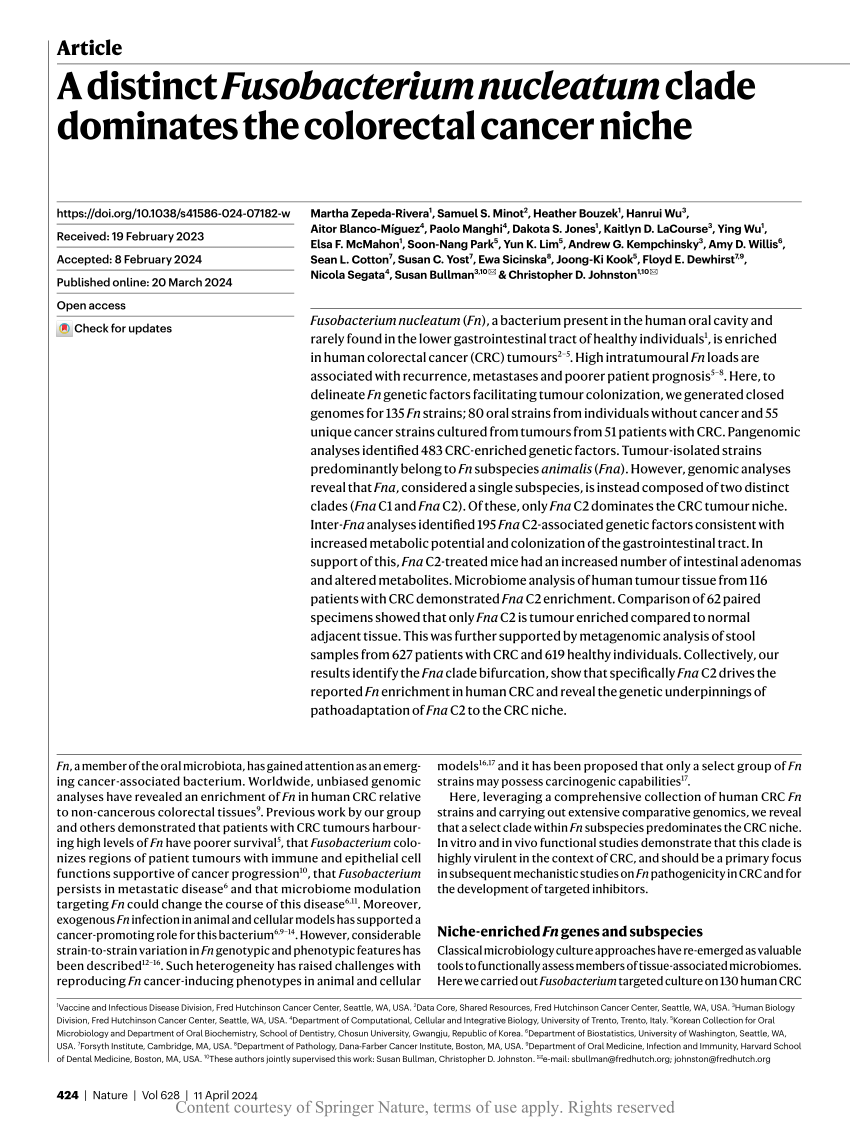 PDF A distinct Fusobacterium nucleatum clade dominates the  