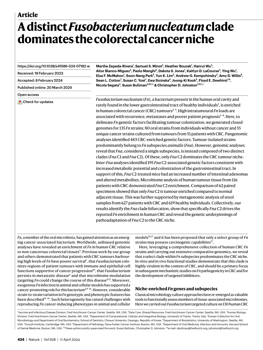 PDF A distinct Fusobacterium nucleatum clade dominates the  