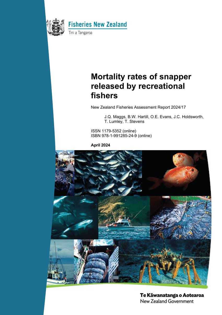 PDF) Mortality rates of snapper released by recreational fishers New  Zealand Fisheries Assessment Report 2024/17
