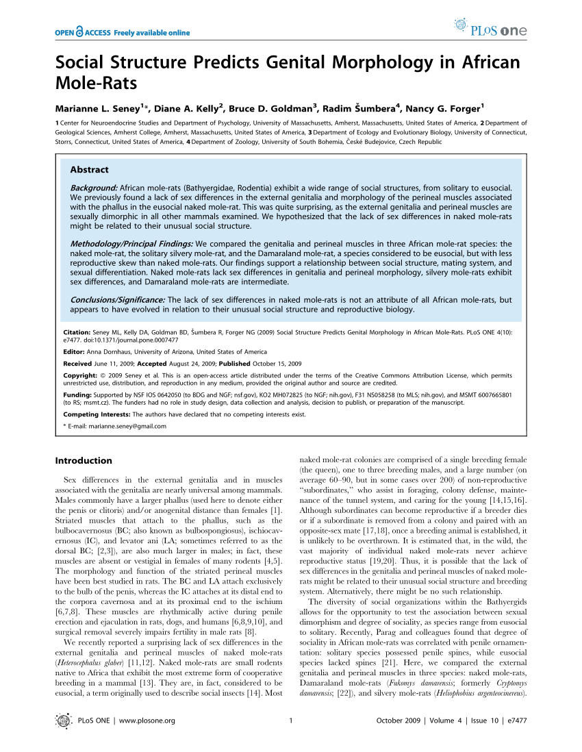 PDF Social Structure Predicts Genital Morphology in African Mole Rats 