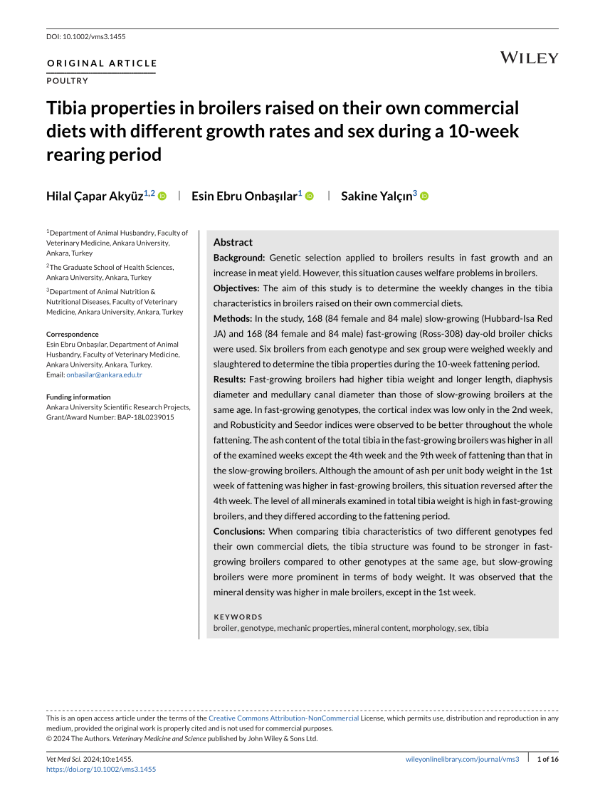 PDF Tibia properties in broilers raised on their own commercial  