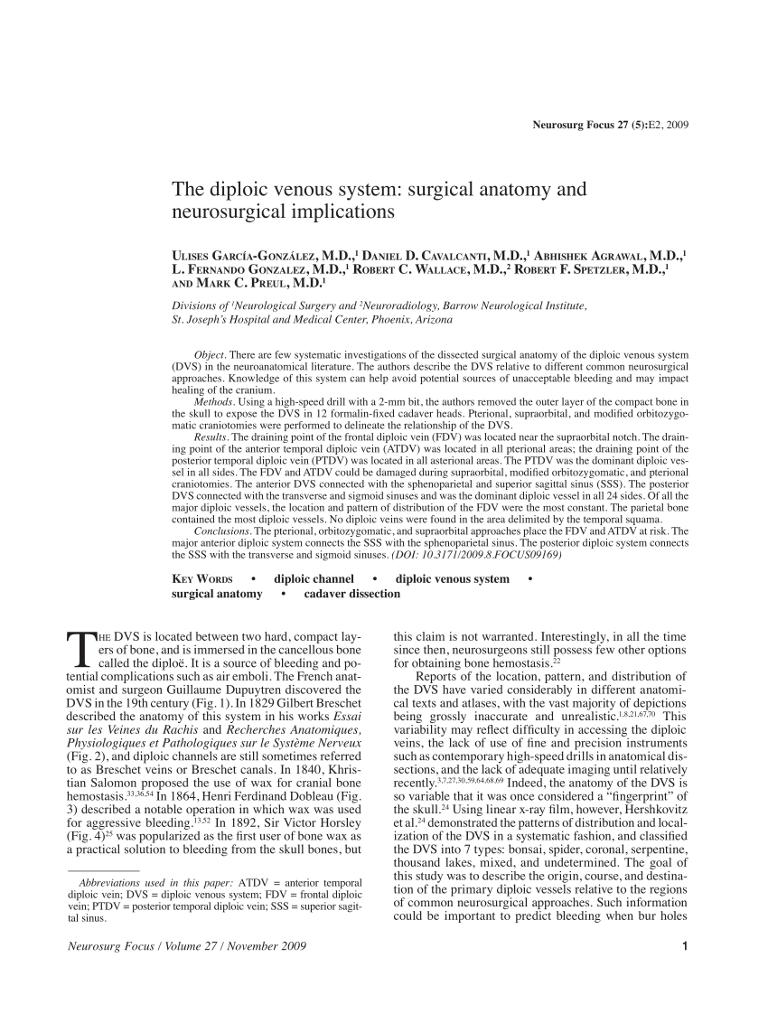 Diploic veins - Wikipedia