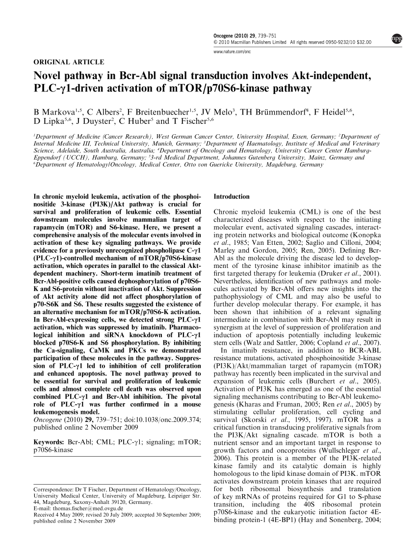 (PDF) Activation of a novel Bcr/Abl destruction pathway by 