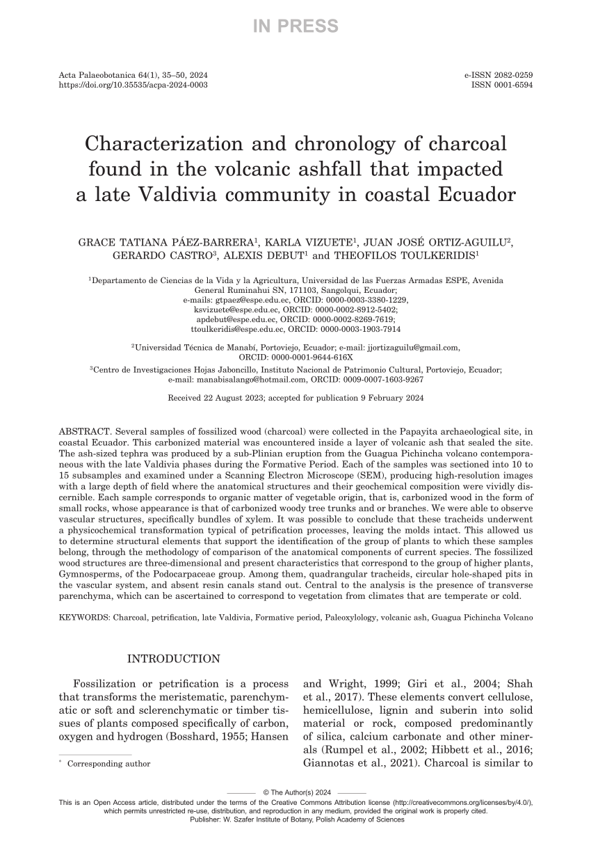 (PDF) Characterization and chronology of charcoal found in the volcanic ...