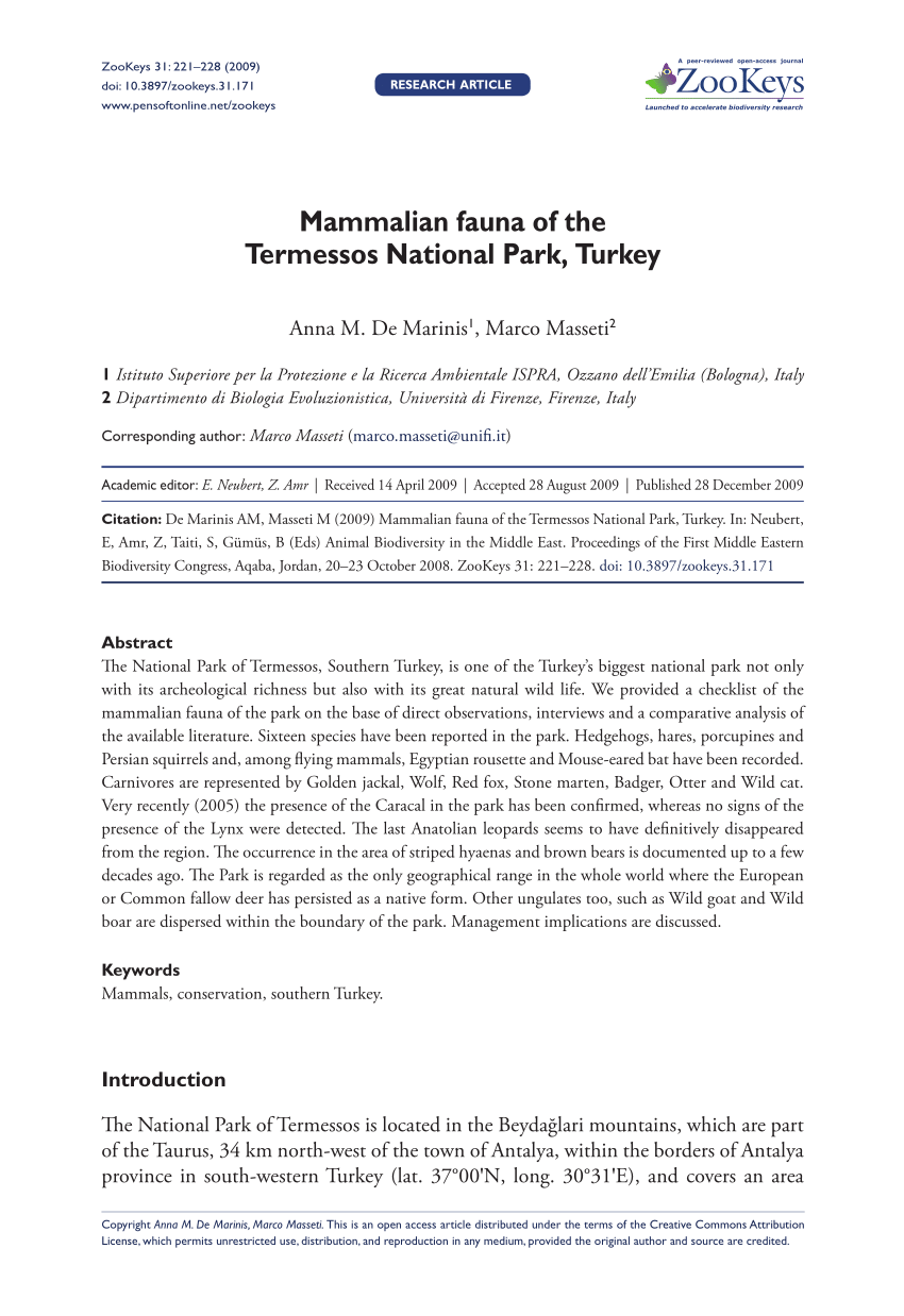 Die Säugetiere Mammalia Der Türkei