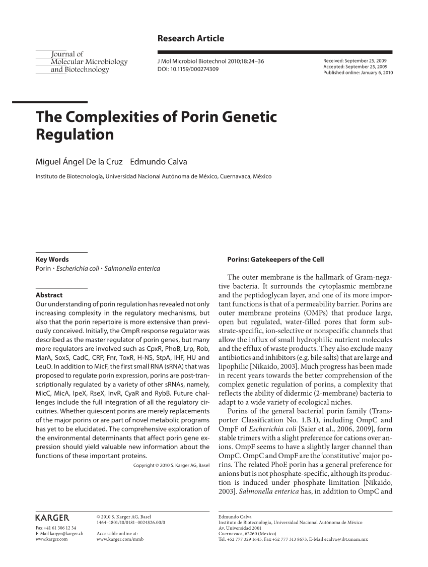 Pdf The Complexities Of Porin Genetic Regulation
