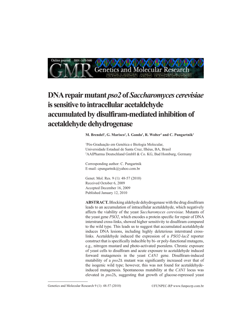 Pdf Dna Repair Mutant Pso2 Of Saccharomyces Cerevisiae Is Sensitive To Intracellular Acetaldehyde Accumulated By Disulfiram Mediated Inhibition Of Acetaldehyde Dehydrogenase