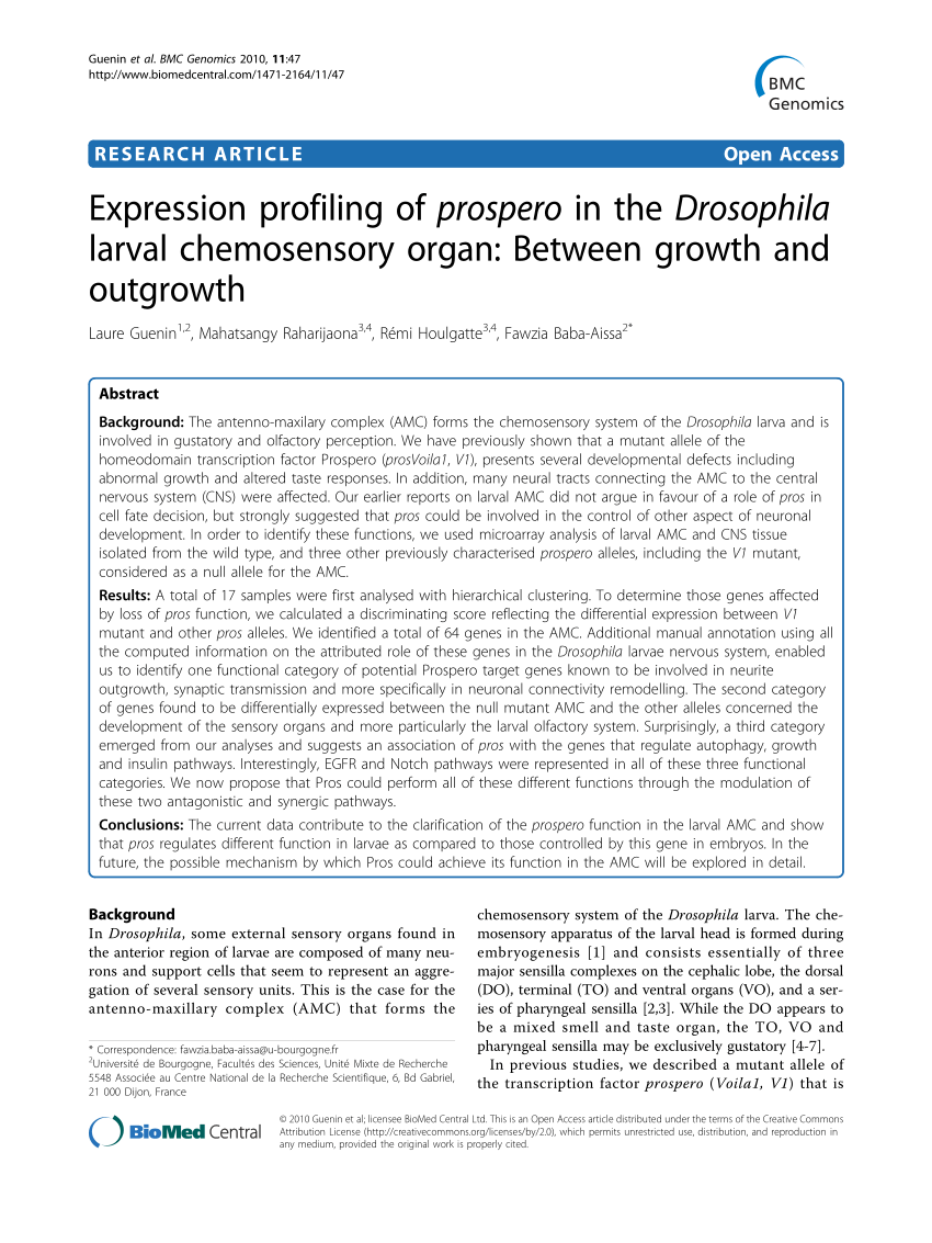 PDF) Expression profiling of prospero in the Drosophila larval ...