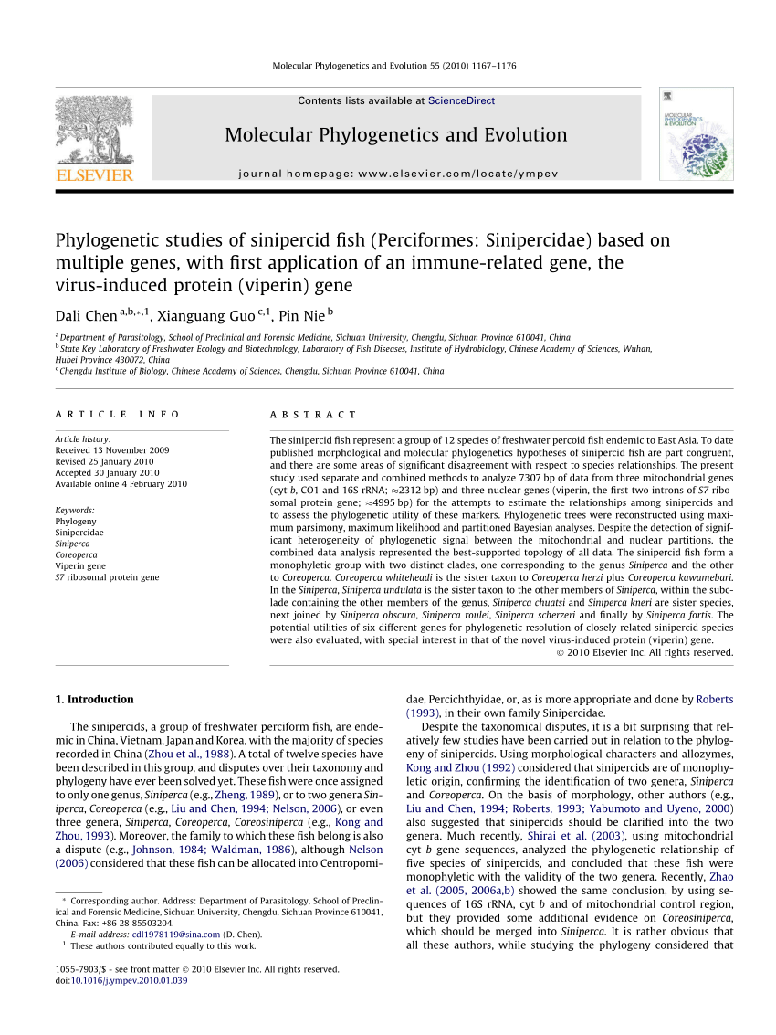 PDF) Phylogenetic studies of sinipercid fish (Perciformes ...