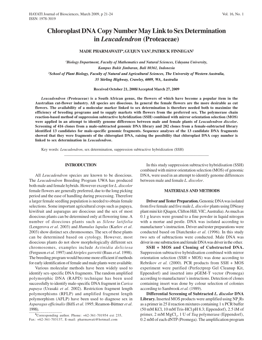 PDF) Chloroplast DNA Copy Number May Link to Sex Determination in  Leucadendron (Proteaceae)