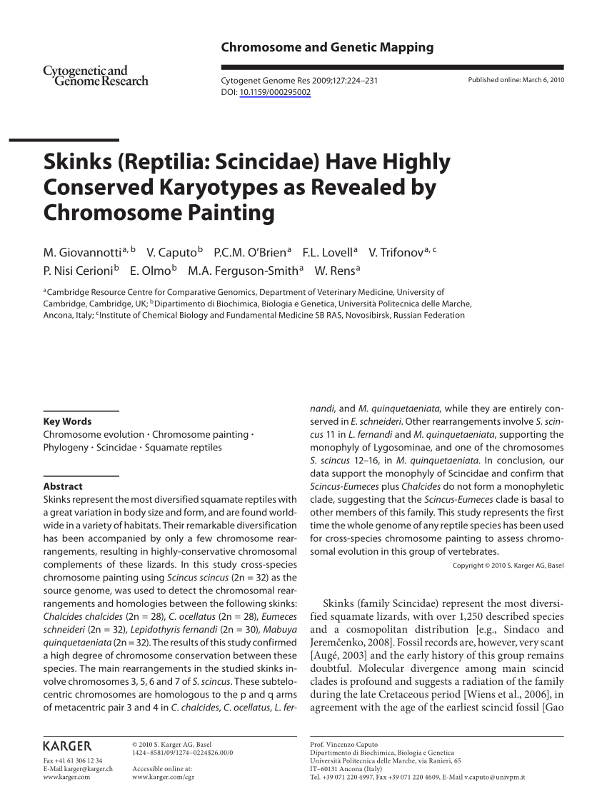 Pdf Skinks Reptilia Scincidae Have Highly Conserved Karyotypes As Revealed By Chromosome Painting
